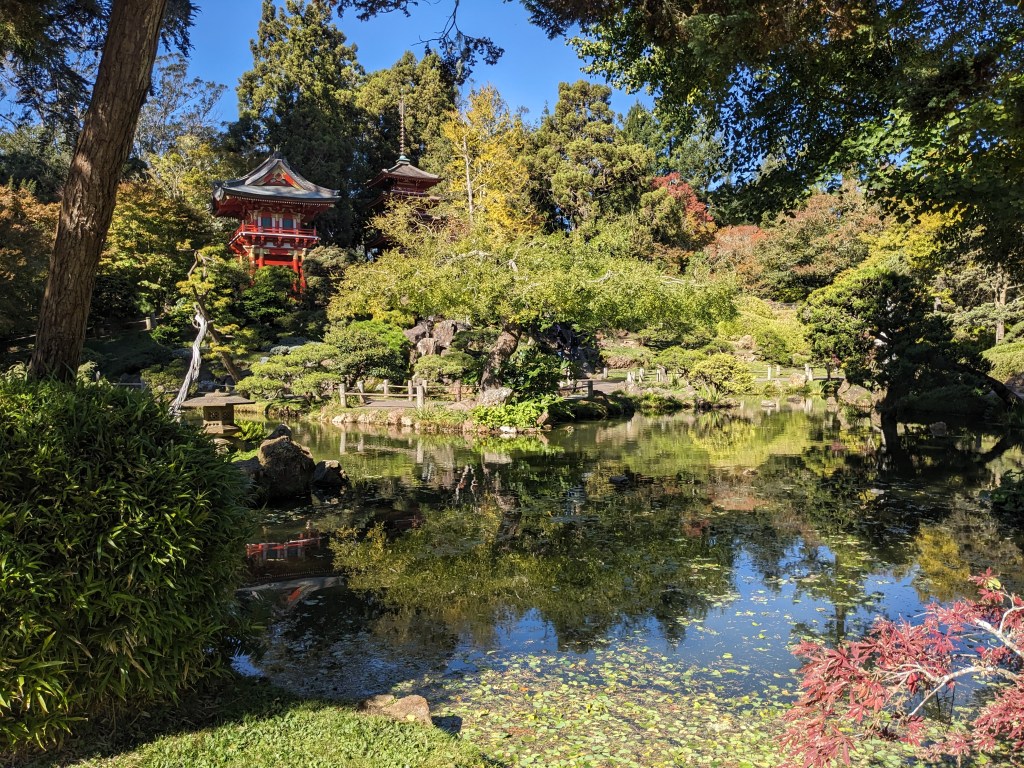 Golden Gate Park, SF,&nbsp;CA
