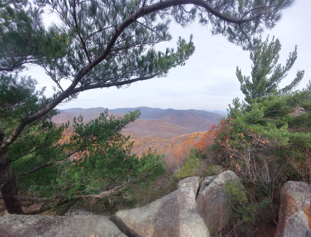 Shenandoah, Virginia